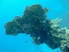 Dive image
