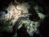 Dive image