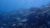 Dive image