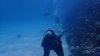Dive image