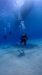 Dive image