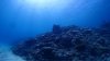 Dive image