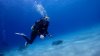 Dive image