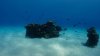 Dive image