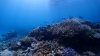 Dive image